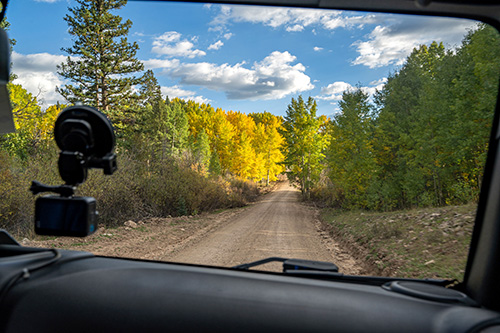 dashboard view