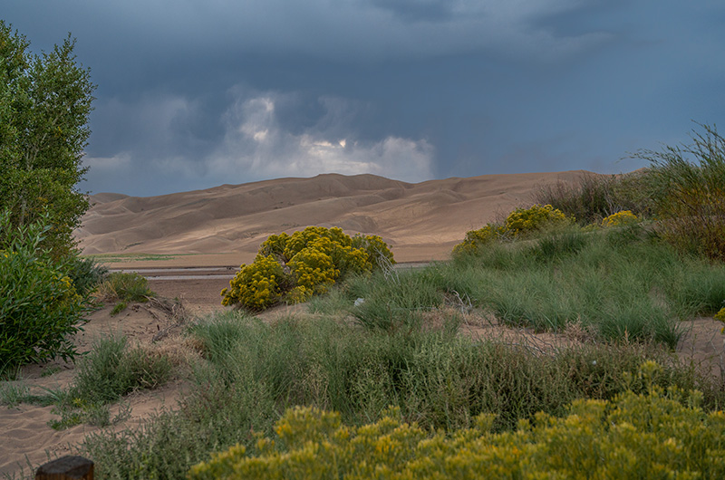 Early Evening by the Sand Dunes