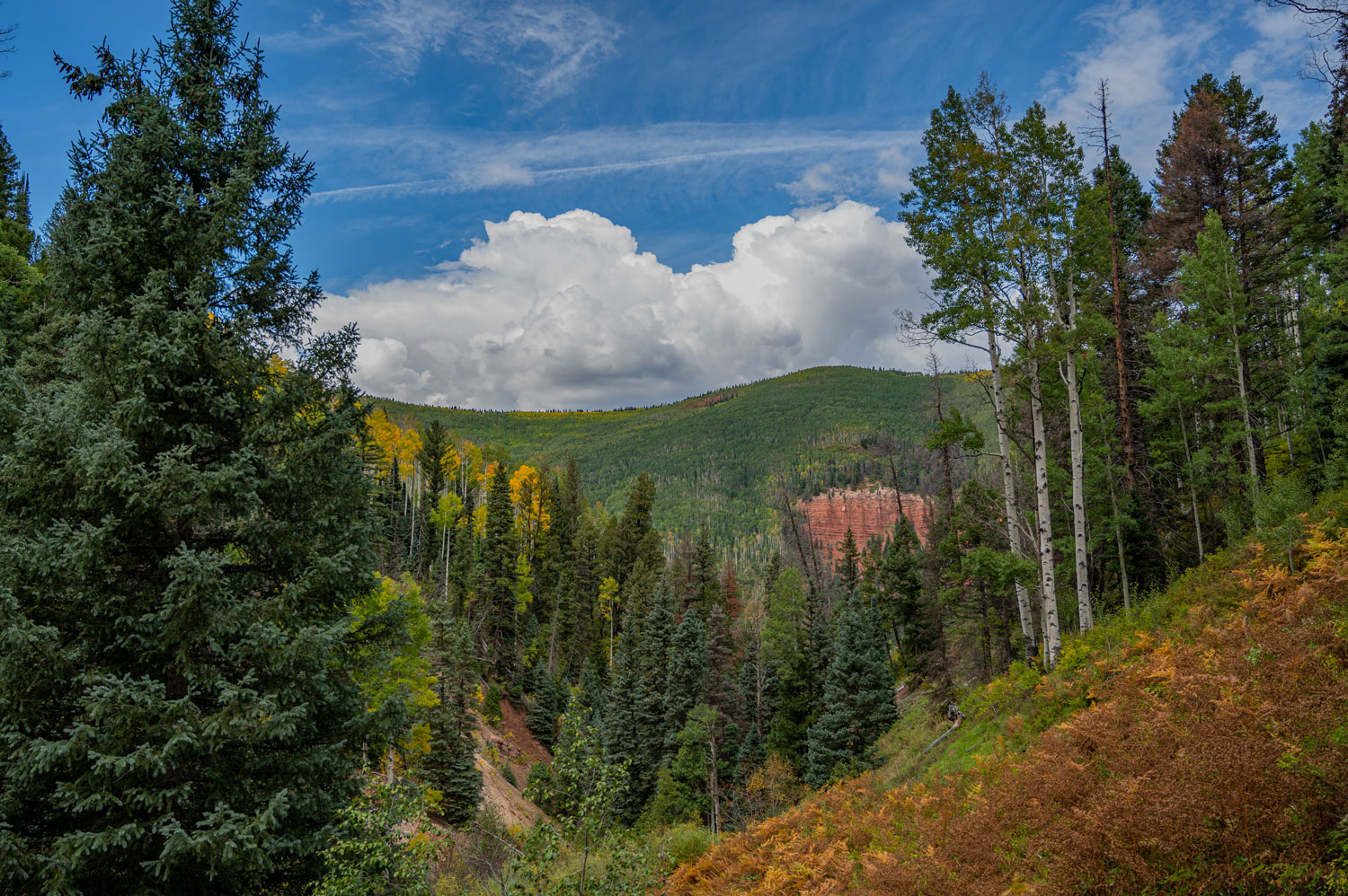 Geyser Spring Trail