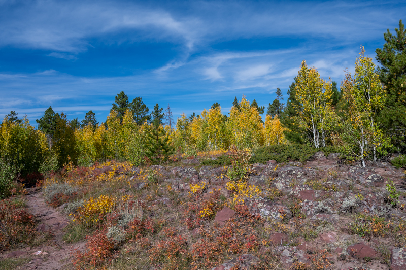 Photo of Area Near Ute Mountain Fire Tower